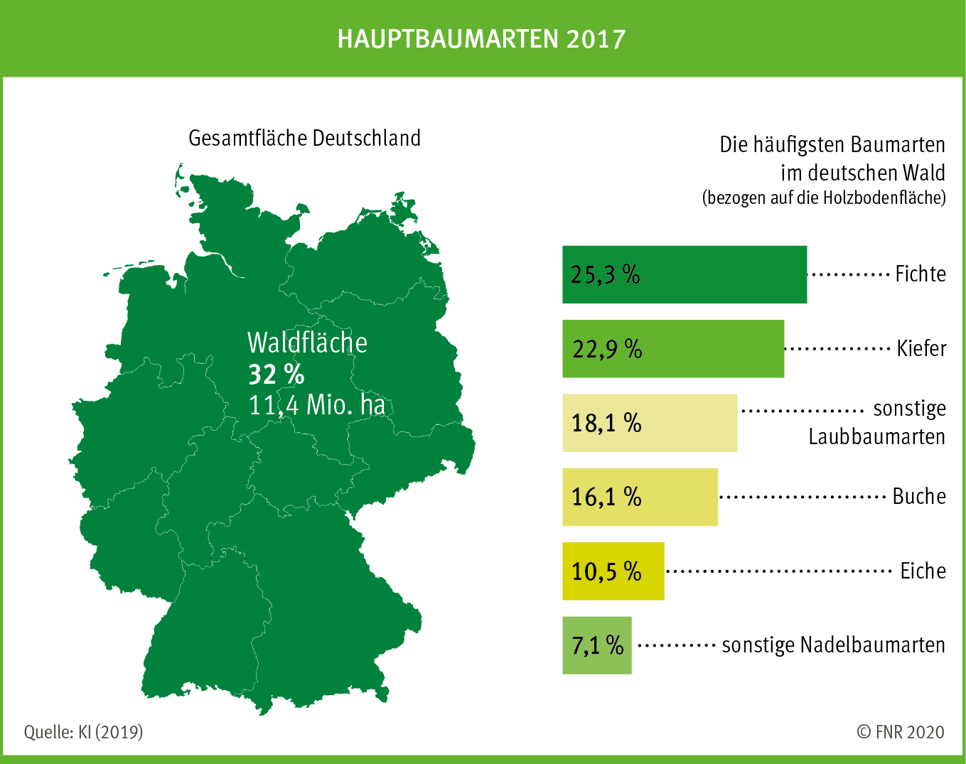 Abb. 2: Hauptbaumarten in Deutschland