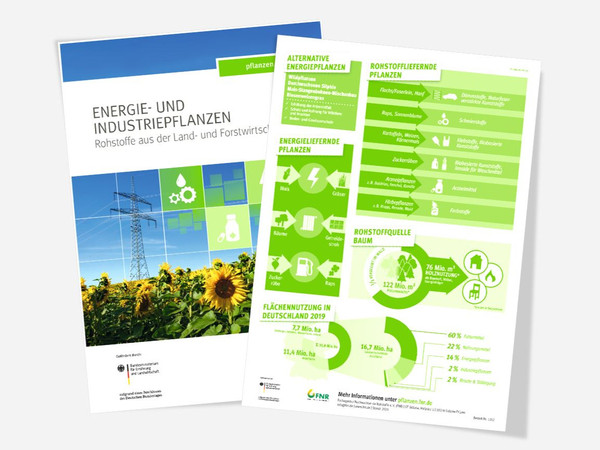 Bild- und Infoseite des Posters "Energie- und Industriepflanzen"