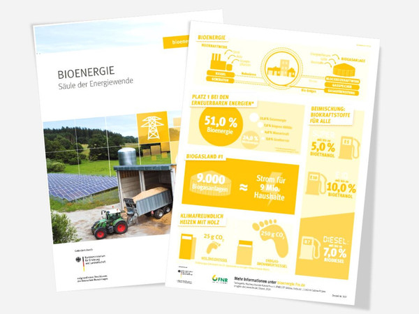 Bild- und Infoseite des Posters "Bioenergie"