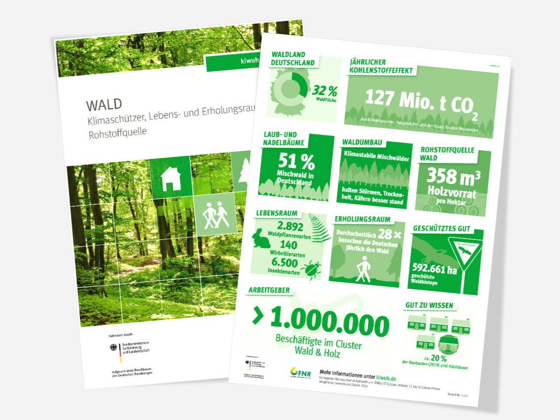 Bild- und Infoseite des Posters "Wald"