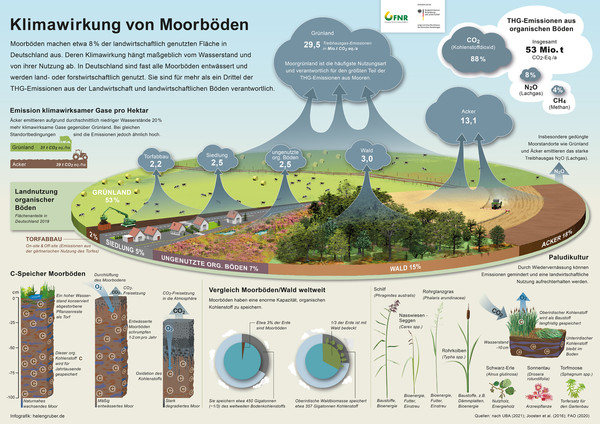 Grafik zur Klimawirkung von Moorböden.